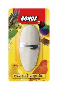 BONUS OSSO DI SEPPIA
