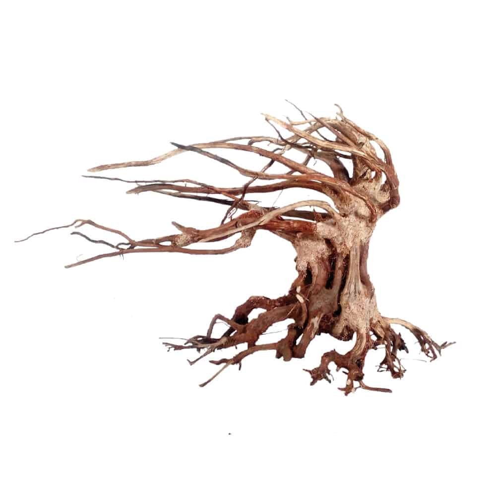 Amtra Legno Oriental Wind 6 SM