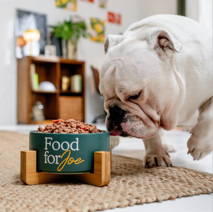 Food for Joe – alimentazione naturale per cani e gatti