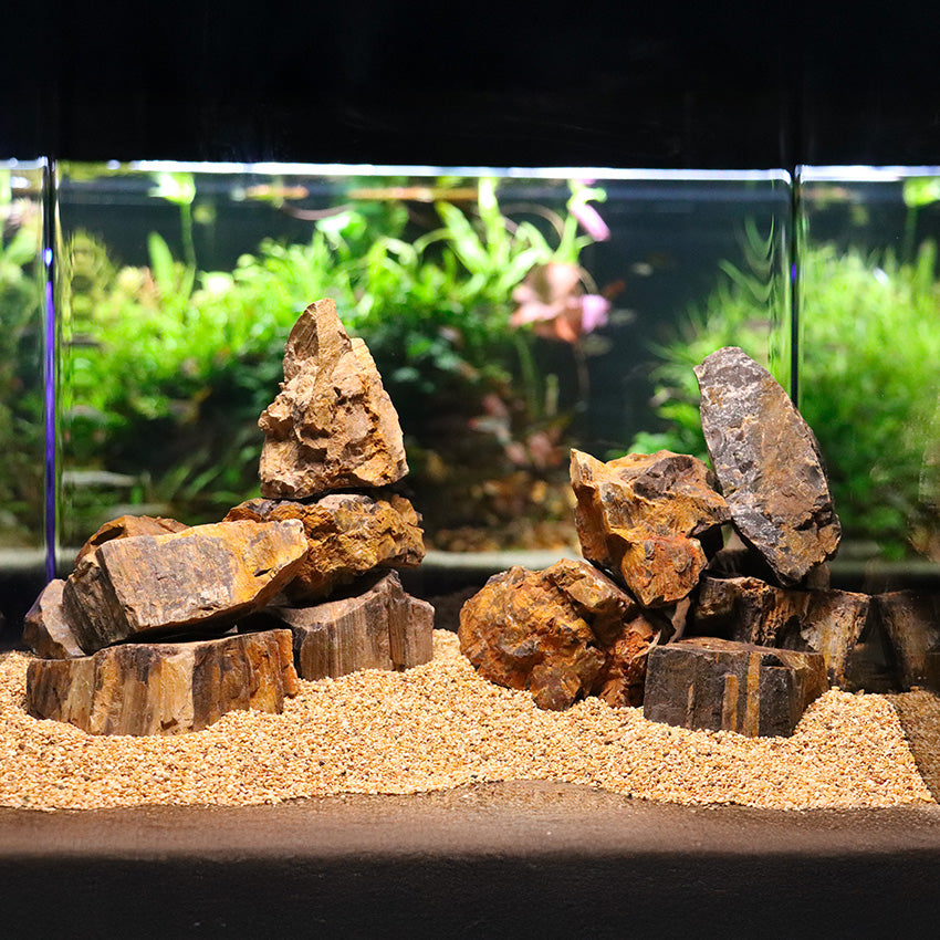 AMTRA ROCCIA PETRIFIED SM