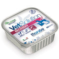 MONGE VETSOLUTION RECOVERY CANE