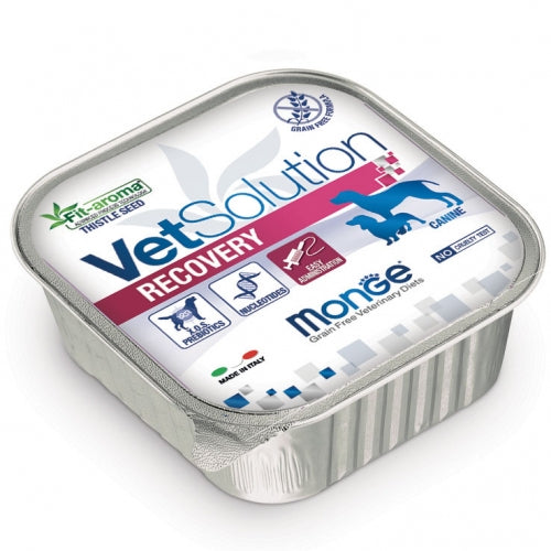 MONGE VETSOLUTION RECOVERY CANE