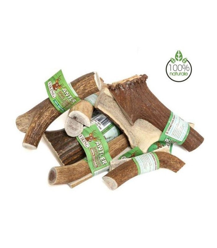 Corna di Cervo Viking