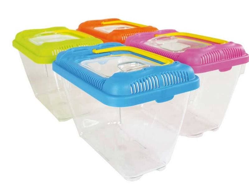 Aquarietto ponza - trasportino