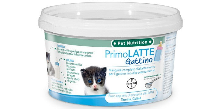 PRIMOLATTE GATTO