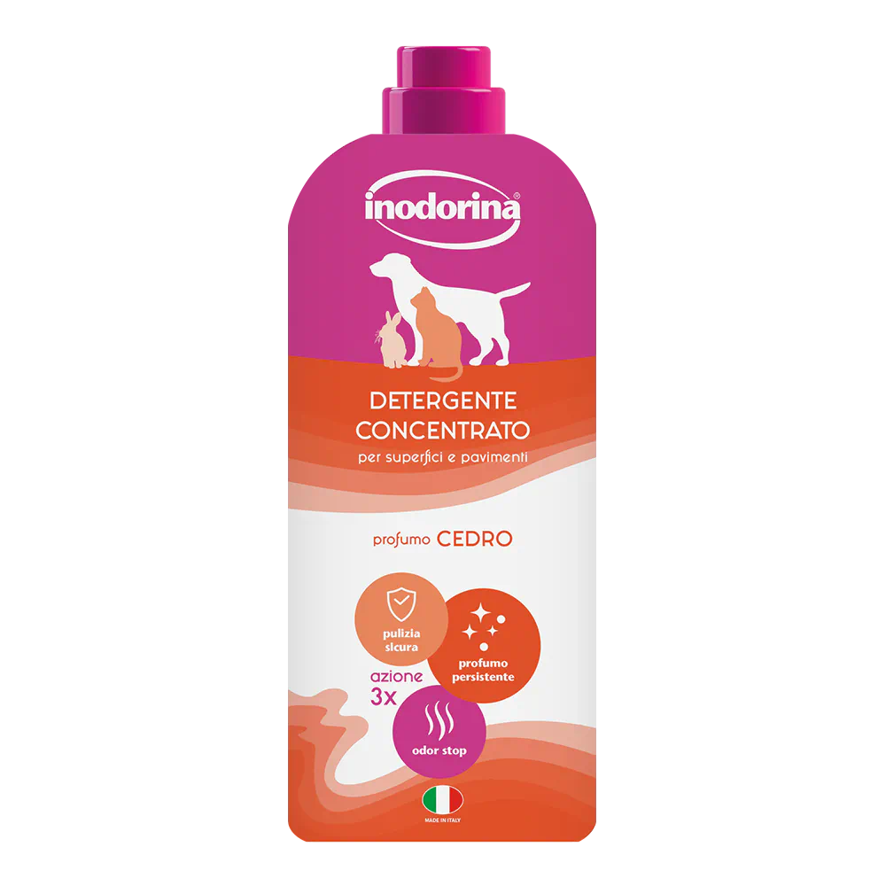 INODORINA MAGIC HOME