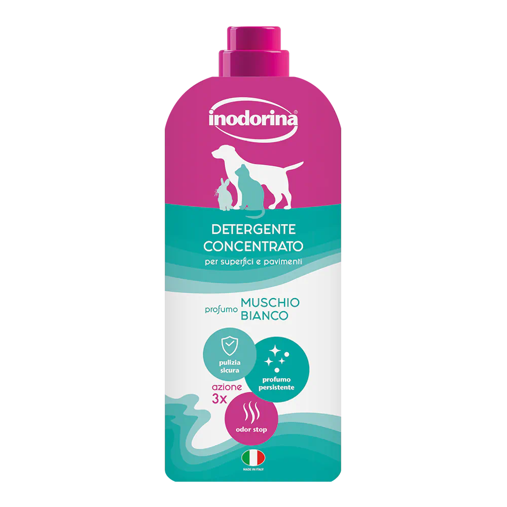 INODORINA MAGIC HOME