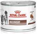 ROYAL CANIN RECOVERY