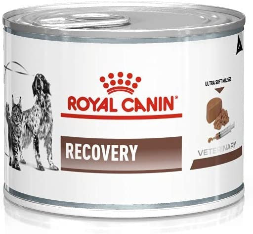 ROYAL CANIN RECOVERY