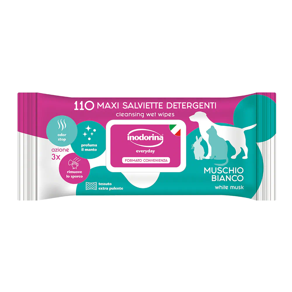 INODORINA MAXI SALVIETTE 110pz