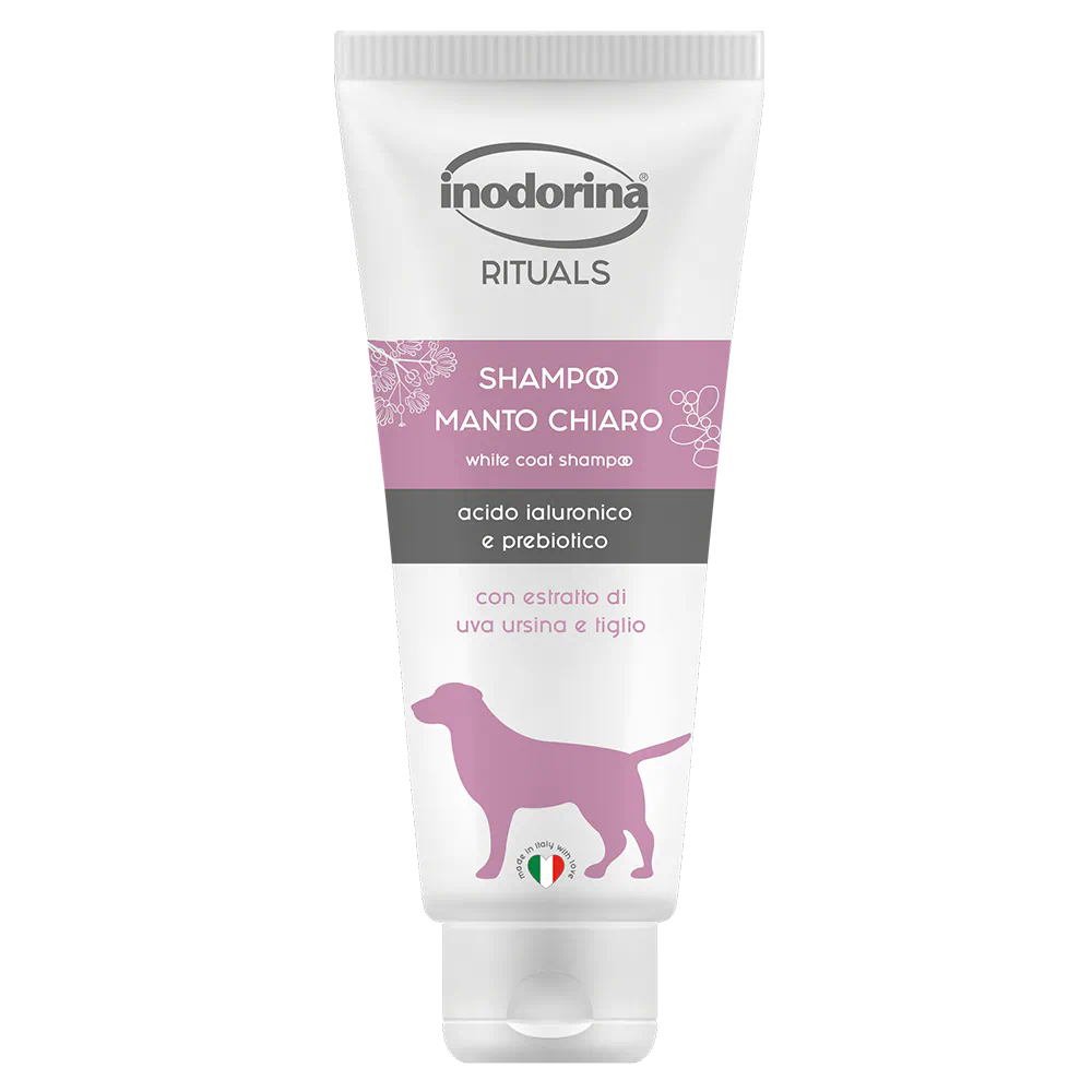 INODORINA SHAMPOO 250ML