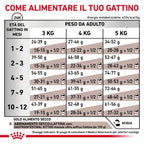 Royal Canin Gastrointestinal Kitten 400gr