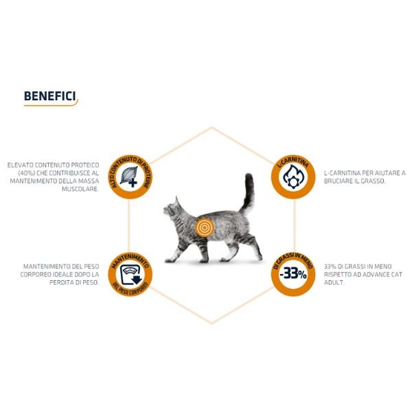 Advance Veterinary Weight Balance Gatto