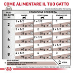 Royal Canin Gastronitestinal 85gr
