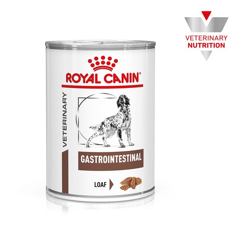 Royal Canin Gastrointestinal Dog 400gr 12x400gr