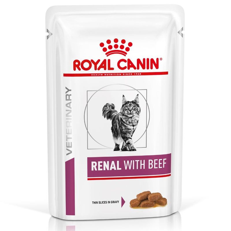 Royal Canin VetSolutions Renal Gatto 12x85gr