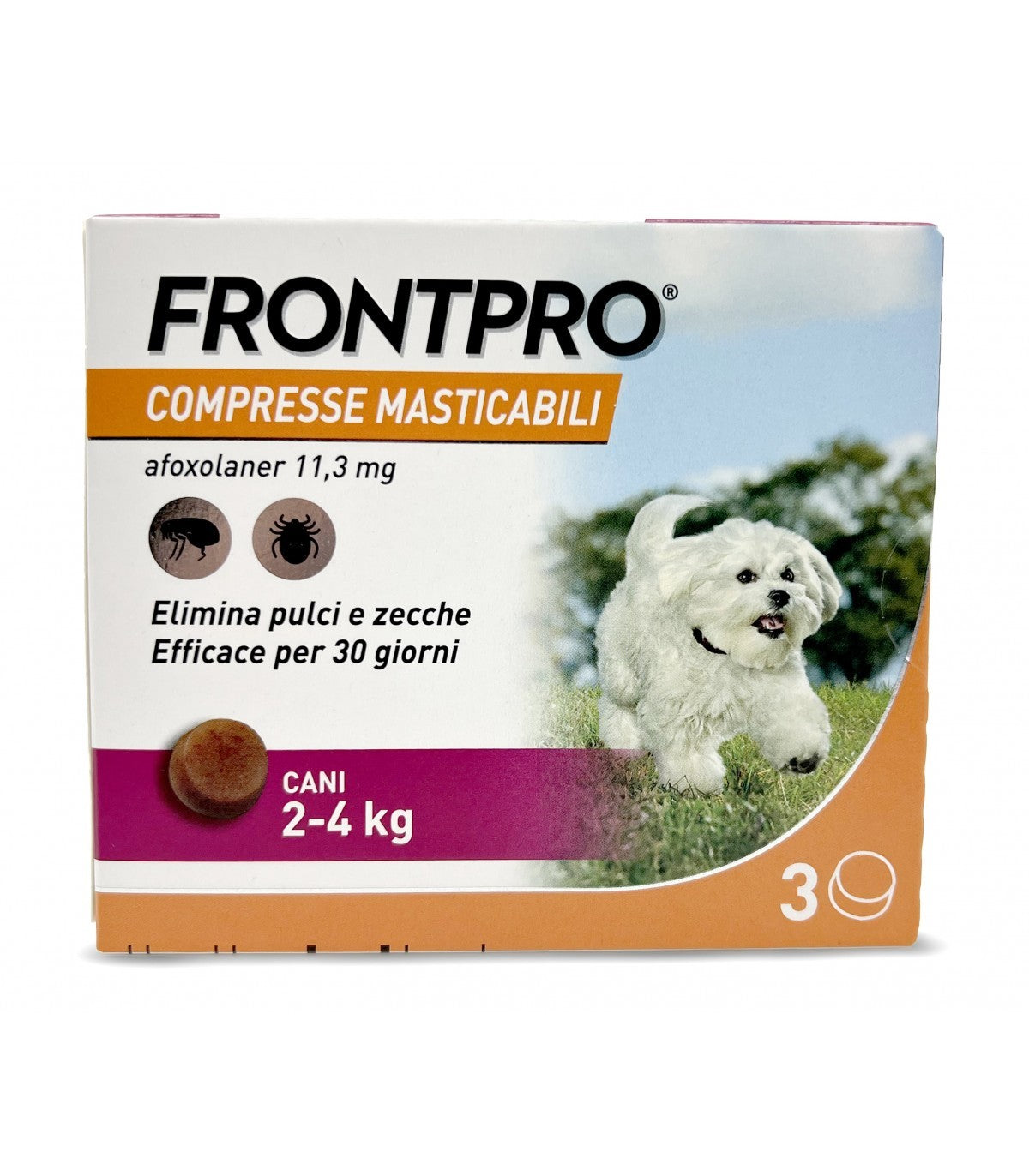 [SOP] FRONTPRO 2-4KG