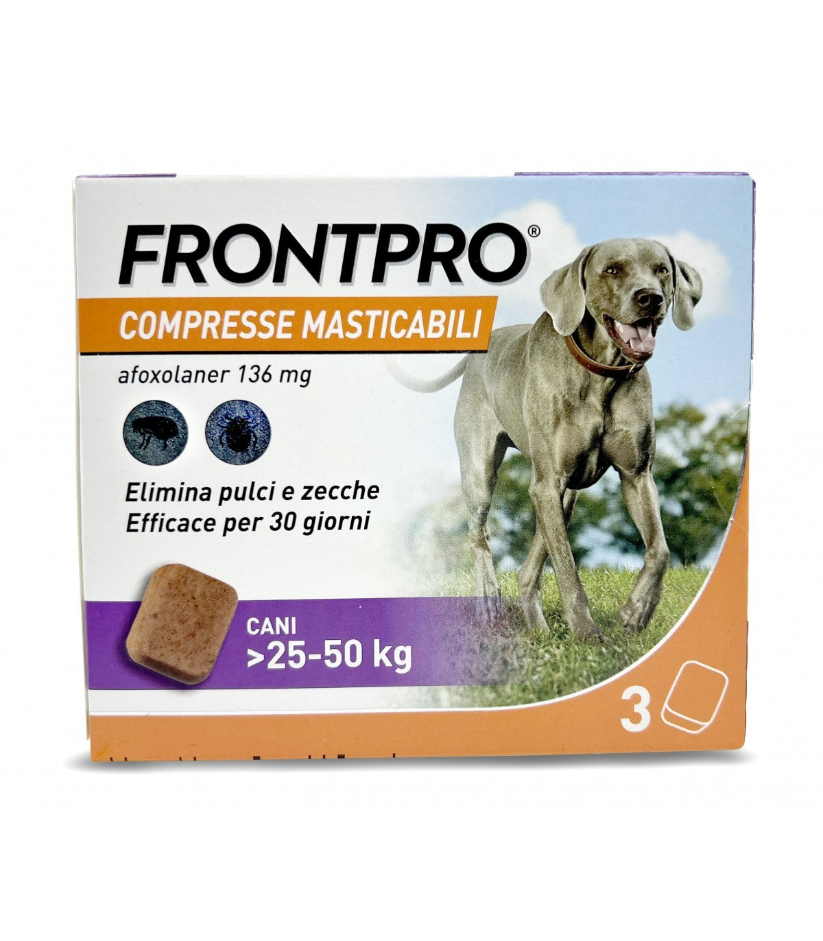 [SOP] FRONTPRO 25-50KG