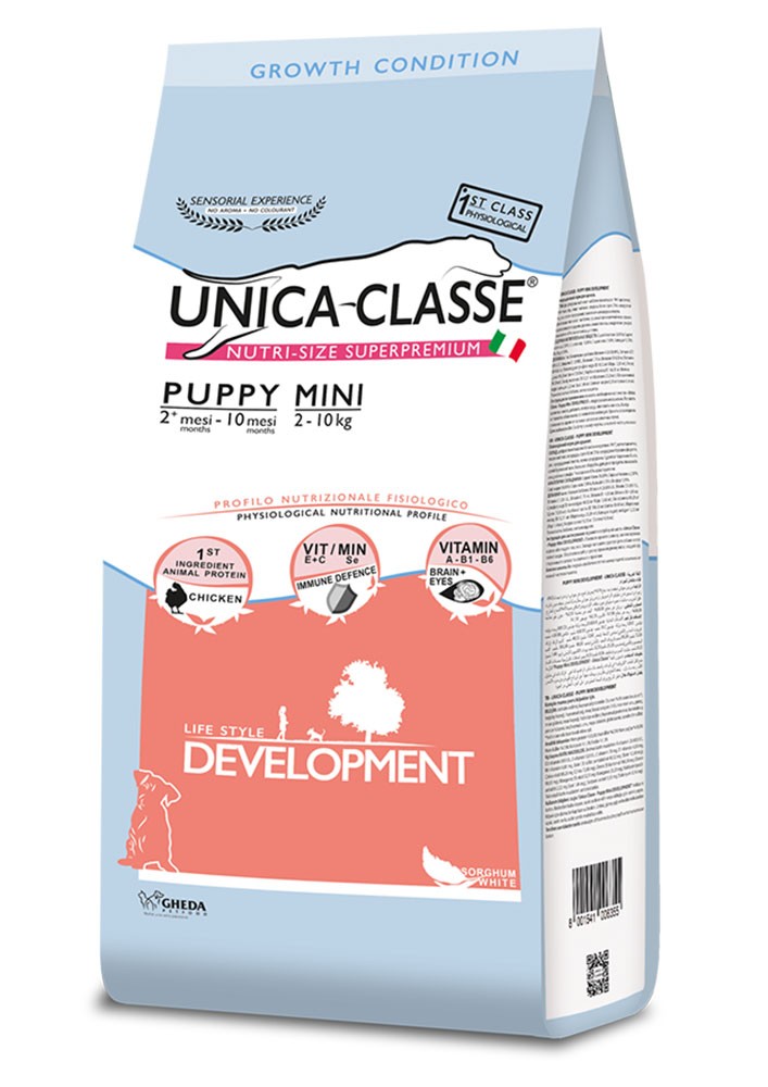 Unica Classe Puppy Mini Development