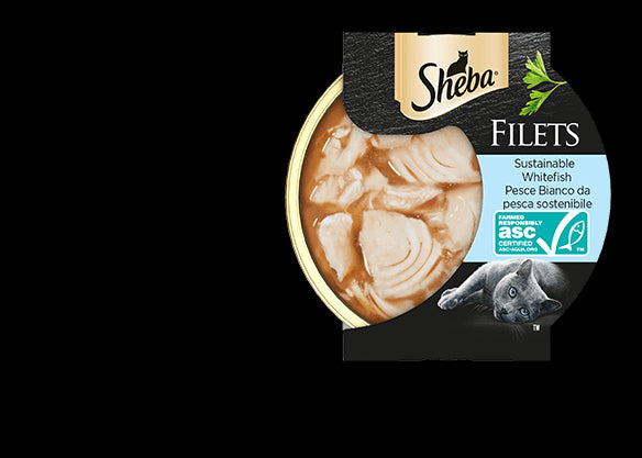 SHEBA Filets Pesce Bianco 16x60gr