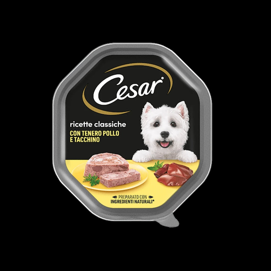 Cesar Box A x14