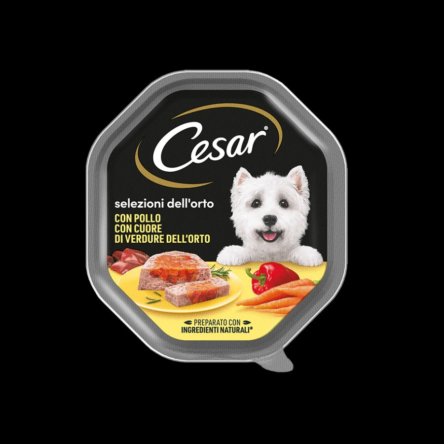 Cesar Box A x14