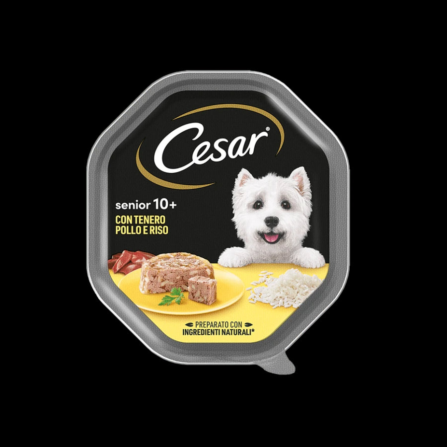 Cesar Box A x14