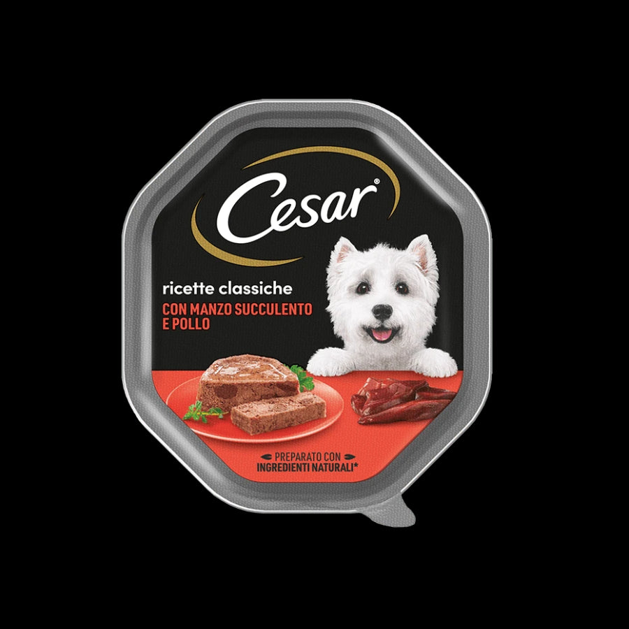 Cesar Box B x14