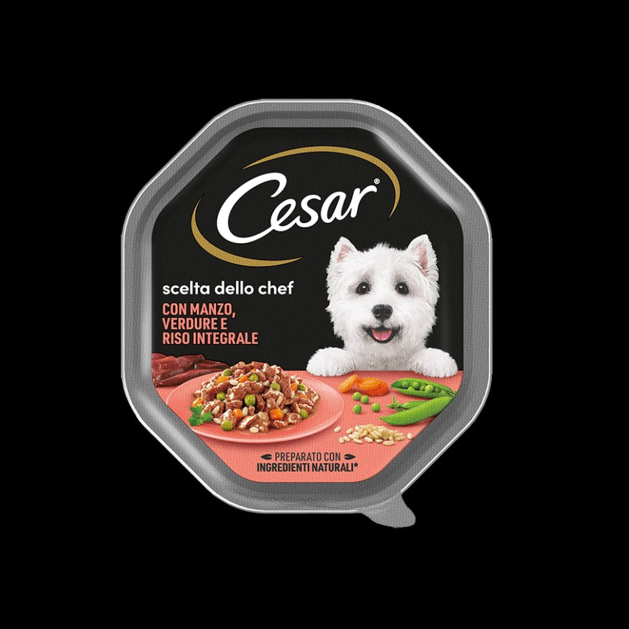Cesar Box B x14