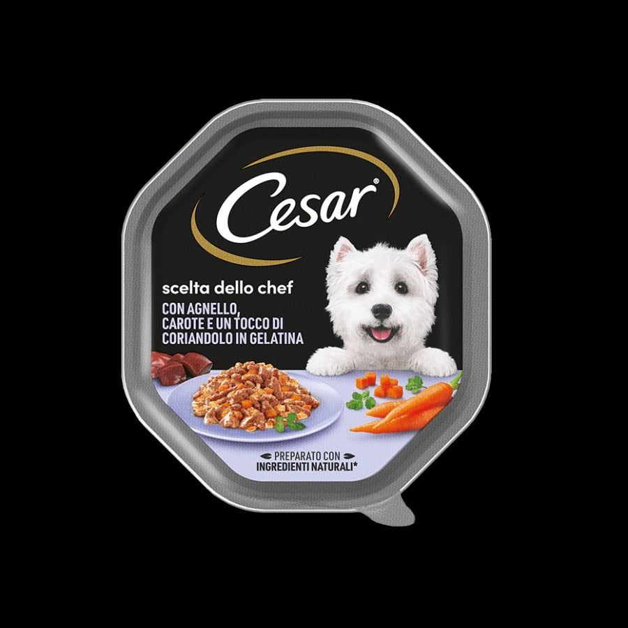 Cesar Box C x14