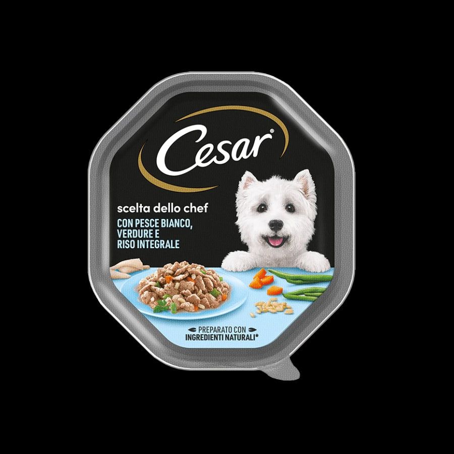 Cesar Box C x14