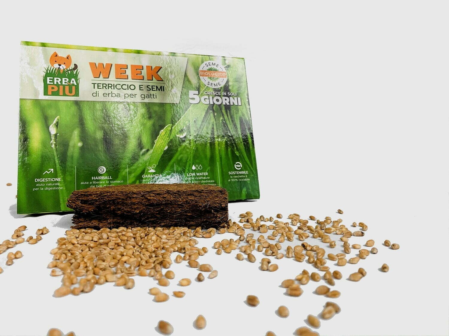 ErbaPiù WEEK - Kit Semina