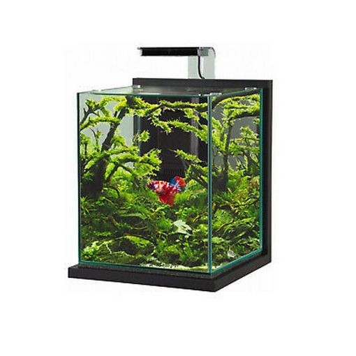 ZOLUX ACQUARIO JALAYA 2 GRIGIO ANTRACITE