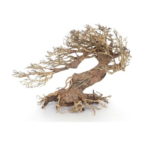 AMTRA LEGNO ORIENTAL WIND 3 SM