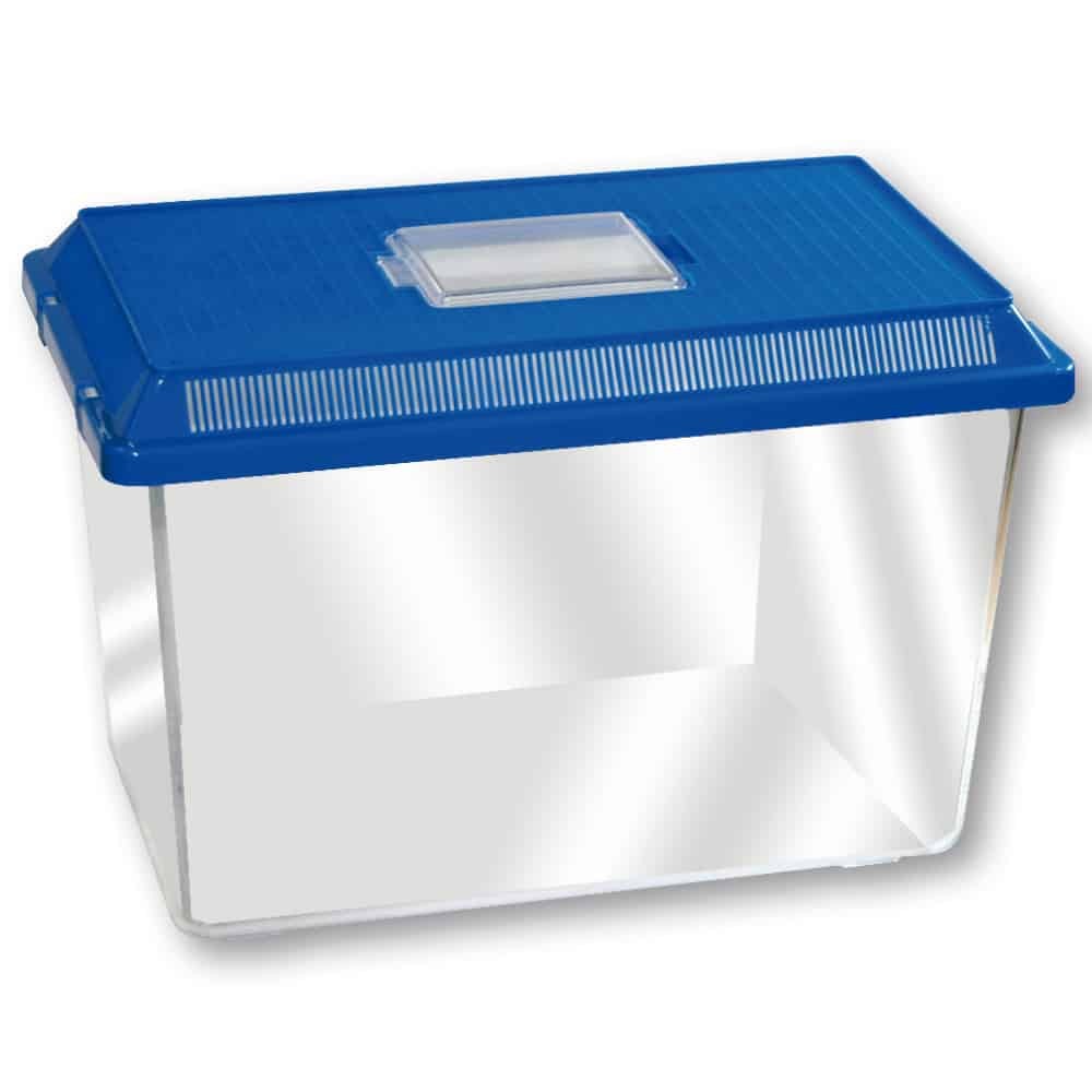 AMTRA VASCHETTA BOXLIFE LARGE 36.5X21.5X24