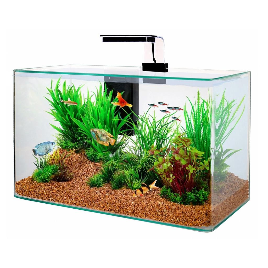 Acquario Aqua clear 40