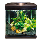 Amtra Laguna LED 40