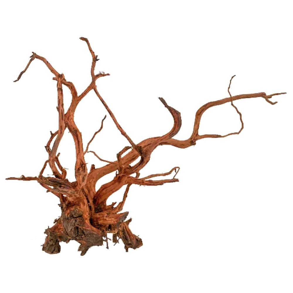 Amtra Legno Red Spider King SM