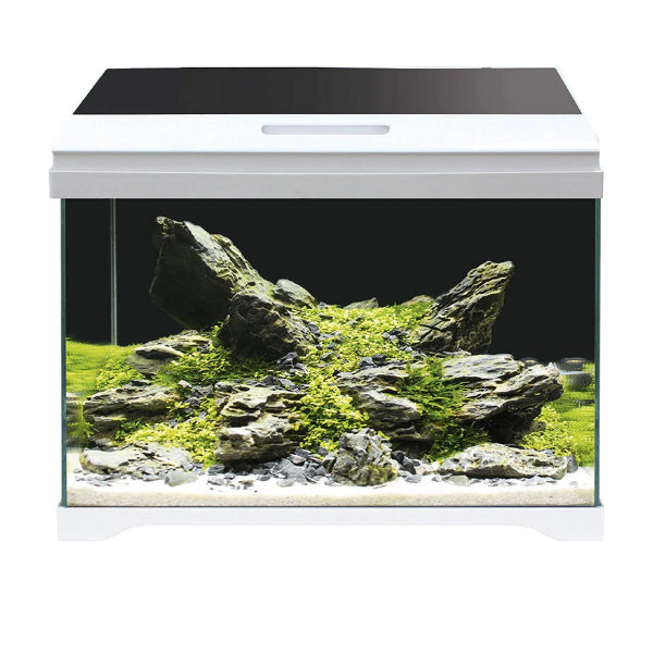 AMTRA MODERN TANK 40 LED