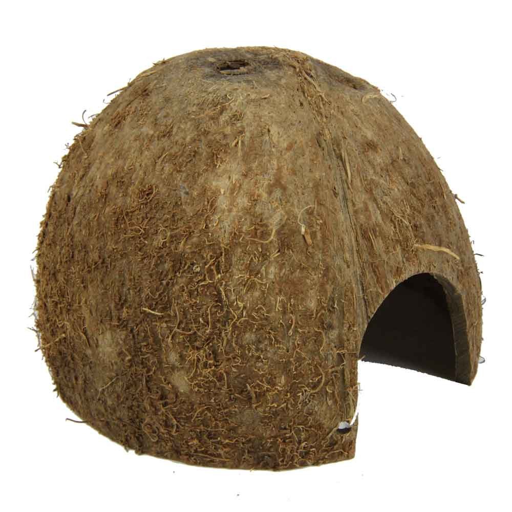 JBL NOCE DI COCCO 1/2 Medium