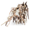 AMTRA LEGNO ORIENTAL WIND 1 MD