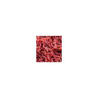 RED MOSQUITO (BLOOD WORM) S 100ml cibo vivo per pesci - AQUAFLORA