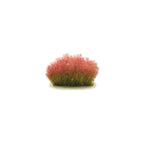 ROTALA WALICHII - AQUAFLORA