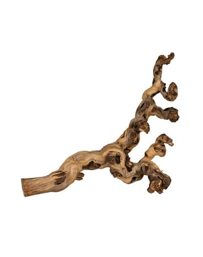 TRIXIE TRALCIO DI VITE SABBIATA MIS.L 40-60CM