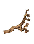 TRIXIE TRALCIO DI VITE SABBIATA MIS.L 40-60CM