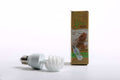 GEKOTRIBE LAMPADA FLUORESCENTE  10.0 UVB