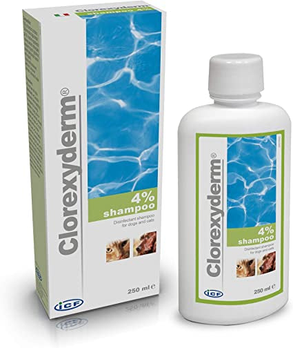 Clorexiderm Shampoo 4% ICF