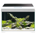 AMTRA MODERN TANK 50 LED