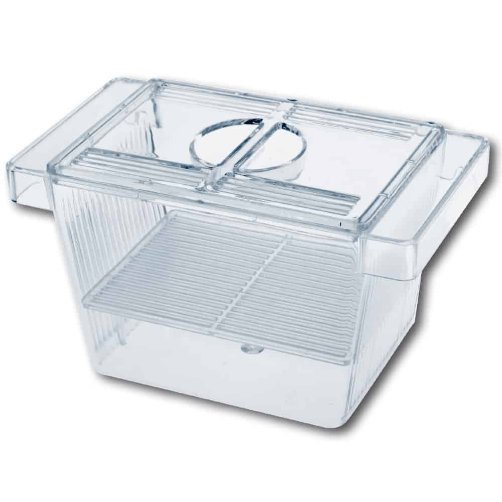 AMTRA SALA PARTO CON COPERCHIO SMALL