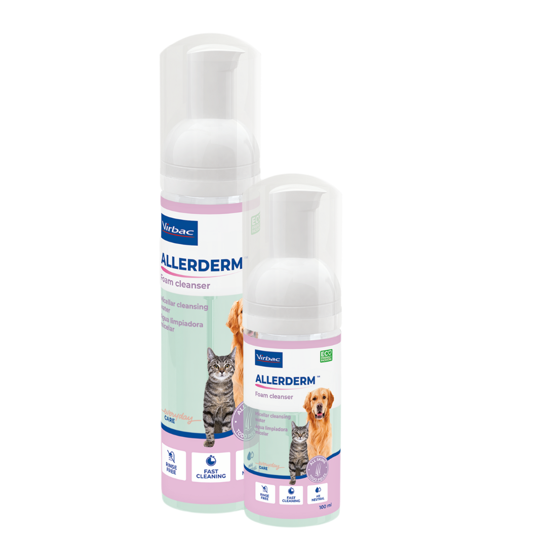 ALLERDERM FOAM 100ML